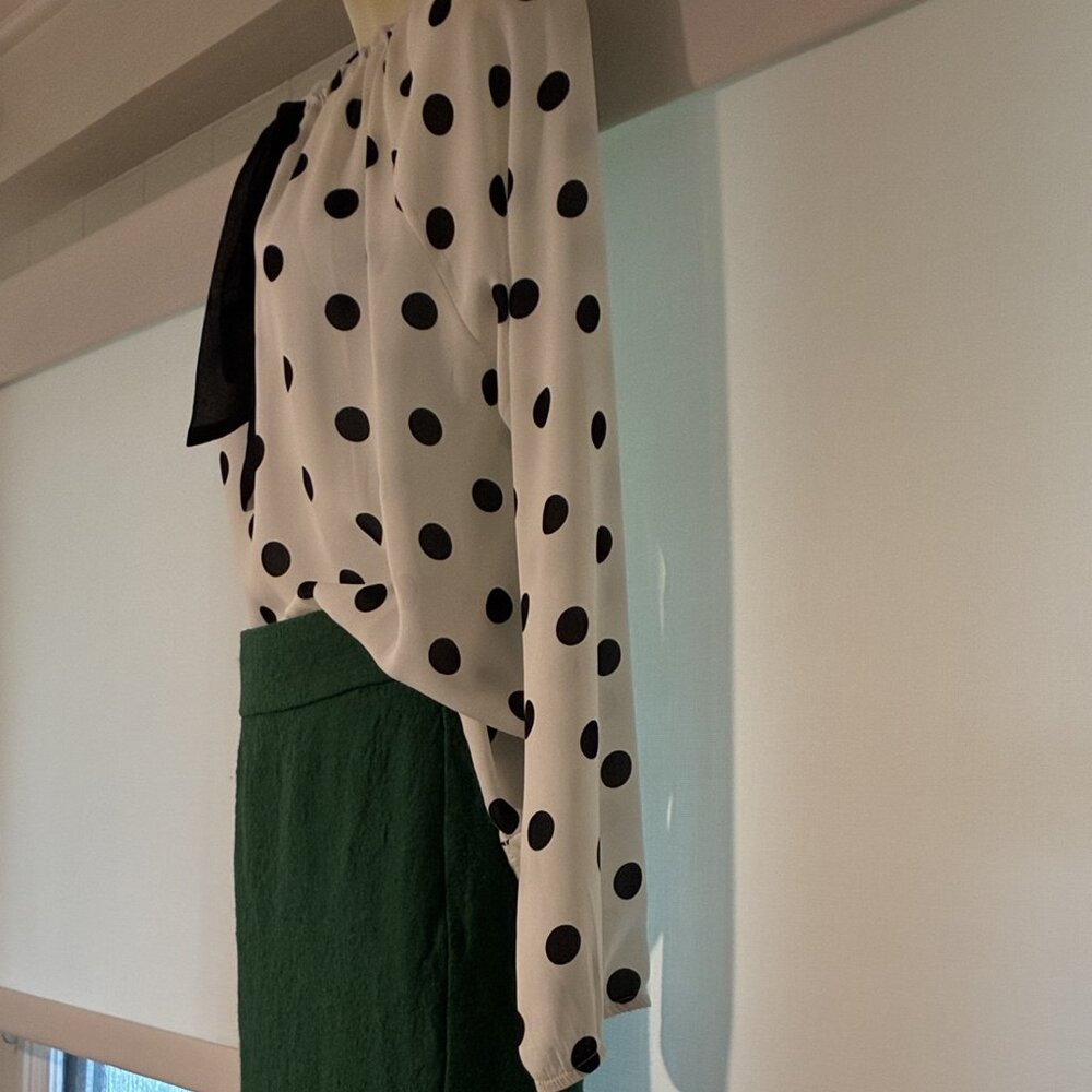 Banana Republic skirt ( size 0)  & white long sleeve polka dot blouse - preloved - Picture 2 of 9